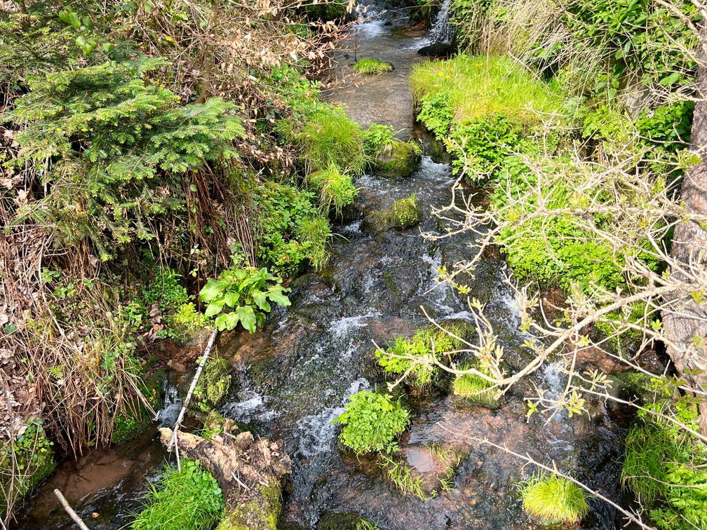 23-04-30 10-13-25 5226